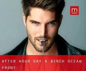 After Hour Gay a Birch Ocean Front