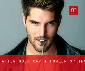After Hour Gay a Fowler Spring