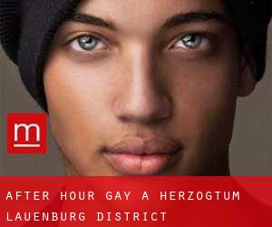 After Hour Gay a Herzogtum Lauenburg District