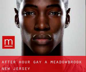 After Hour Gay a Meadowbrook (New Jersey)