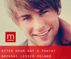 After Hour Gay a Powiat brzeski (Lesser Poland Voivodeship)