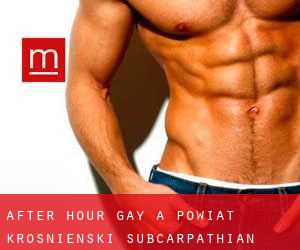 After Hour Gay a Powiat krośnieński (Subcarpathian Voivodeship)