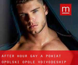 After Hour Gay a Powiat opolski (Opole Voivodeship)