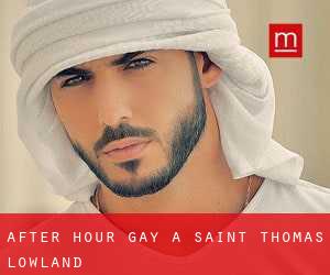 After Hour Gay a Saint Thomas Lowland