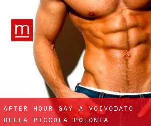 After Hour Gay a Voivodato della Piccola Polonia