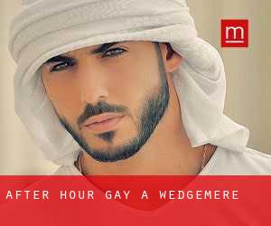 After Hour Gay a Wedgemere