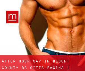 After Hour Gay in Blount County da città - pagina 1