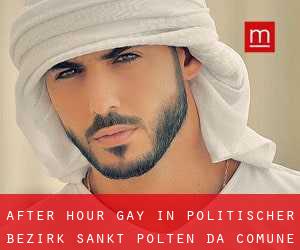 After Hour Gay in Politischer Bezirk Sankt Pölten da comune - pagina 1