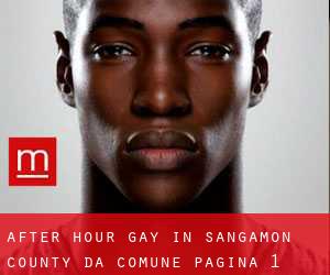 After Hour Gay in Sangamon County da comune - pagina 1