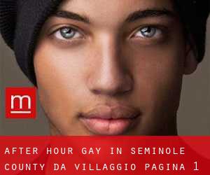 After Hour Gay in Seminole County da villaggio - pagina 1
