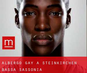 Albergo Gay a Steinkirchen (Bassa Sassonia)