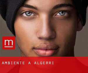 Ambiente a Algerri
