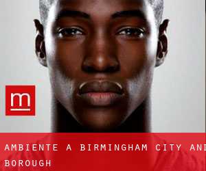 Ambiente a Birmingham (City and Borough)