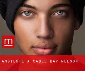 Ambiente a Cable Bay (Nelson)