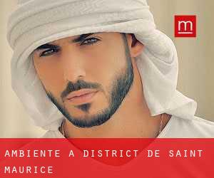 Ambiente a District de Saint-Maurice