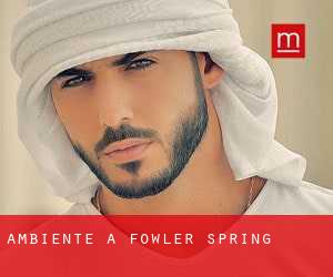 Ambiente a Fowler Spring