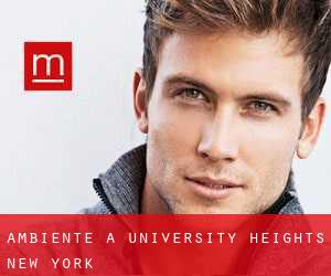 Ambiente a University Heights (New York)