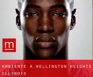 Ambiente a Wellington Heights (Illinois)