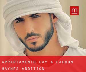 Appartamento Gay a Cahoon Haynes Addition