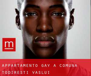 Appartamento Gay a Comuna Todireşti (Vaslui)
