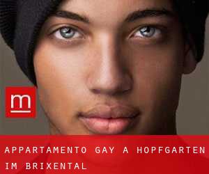 Appartamento Gay a Hopfgarten im Brixental