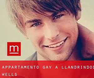Appartamento Gay a Llandrindod Wells