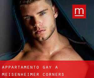 Appartamento Gay a Meisenheimer Corners