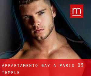 Appartamento Gay a Paris 03 Temple