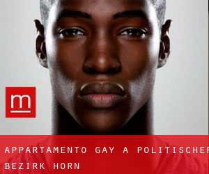 Appartamento Gay a Politischer Bezirk Horn