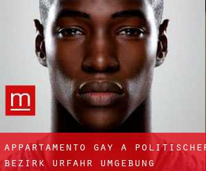 Appartamento Gay a Politischer Bezirk Urfahr Umgebung