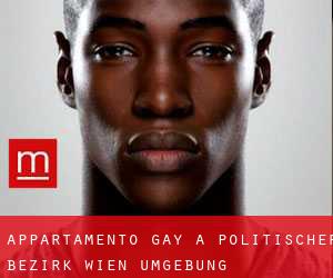 Appartamento Gay a Politischer Bezirk Wien Umgebung
