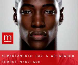 Appartamento Gay a Wedgewood Forest (Maryland)