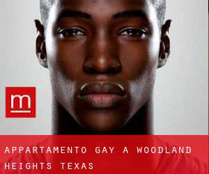 Appartamento Gay a Woodland Heights (Texas)