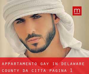 Appartamento Gay in Delaware County da città - pagina 1