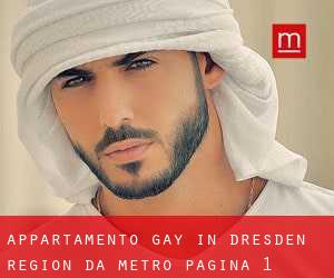 Appartamento Gay in Dresden Region da metro - pagina 1