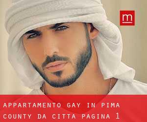Appartamento Gay in Pima County da città - pagina 1