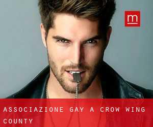 Associazione Gay a Crow Wing County