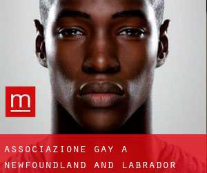 Associazione Gay a Newfoundland and Labrador