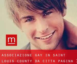 Associazione Gay in Saint Louis County da città - pagina 1