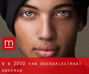 B + B 2000 Van Boendalestraat (Anversa)