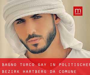 Bagno Turco Gay in Politischer Bezirk Hartberg da comune - pagina 1