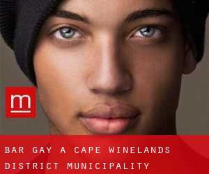 Bar Gay a Cape Winelands District Municipality