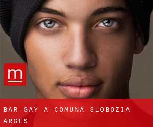 Bar Gay a Comuna Slobozia (Argeş)
