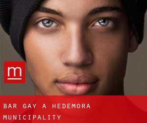 Bar Gay a Hedemora Municipality