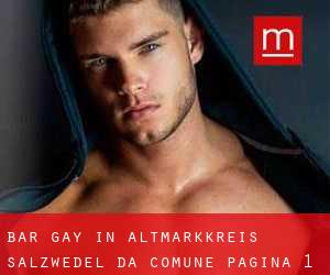 Bar Gay in Altmarkkreis Salzwedel da comune - pagina 1