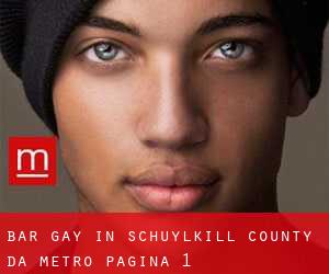 Bar Gay in Schuylkill County da metro - pagina 1