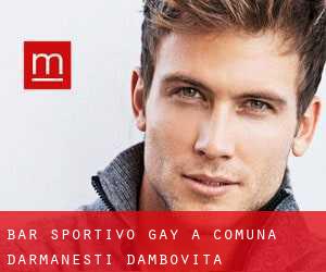 Bar sportivo Gay a Comuna Dărmăneşti (Dâmboviţa)