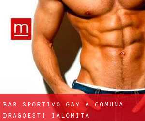 Bar sportivo Gay a Comuna Drăgoeşti (Ialomiţa)