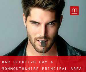 Bar sportivo Gay a Monmouthshire principal area