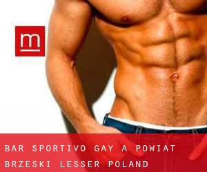 Bar sportivo Gay a Powiat brzeski (Lesser Poland Voivodeship)